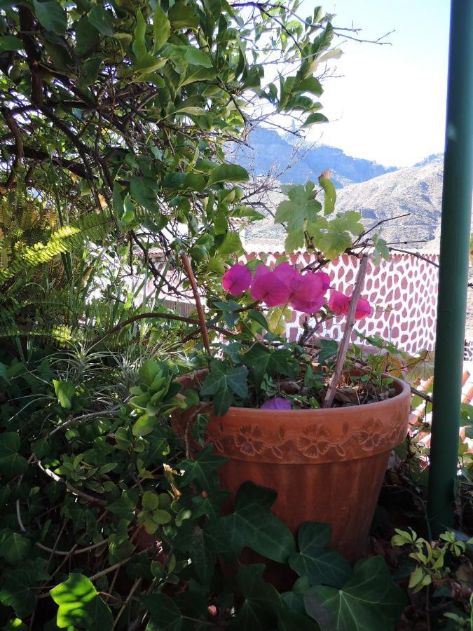 Rural Houses Serafin Casa Rural Serafin The Best Views 테헤다 외부 사진