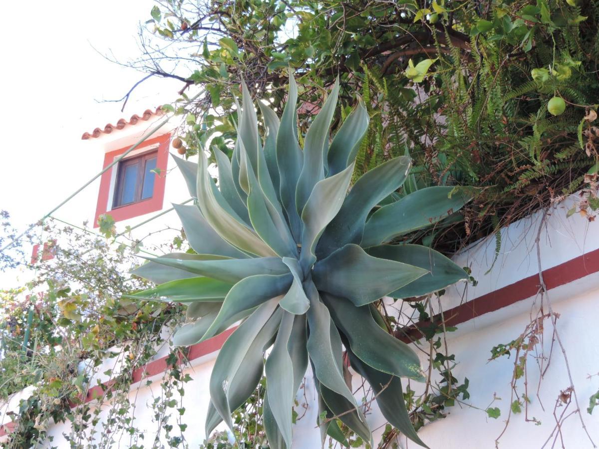 Rural Houses Serafin Casa Rural Serafin The Best Views 테헤다 외부 사진