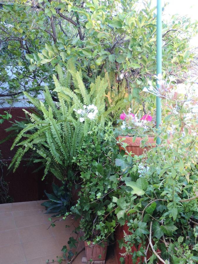 Rural Houses Serafin Casa Rural Serafin The Best Views 테헤다 외부 사진
