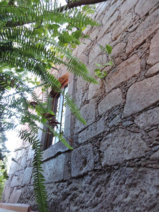 Rural Houses Serafin Casa Rural Serafin The Best Views 테헤다 외부 사진