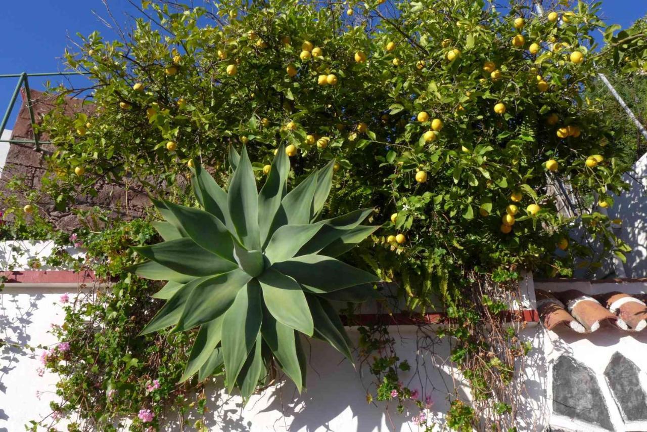 Rural Houses Serafin Casa Rural Serafin The Best Views 테헤다 외부 사진