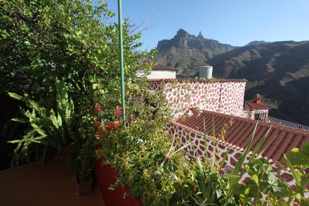 Rural Houses Serafin Casa Rural Serafin The Best Views 테헤다 객실 사진
